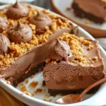 No-Bake Chocolate Cheesecake Ice Cream dessert in a bowl
